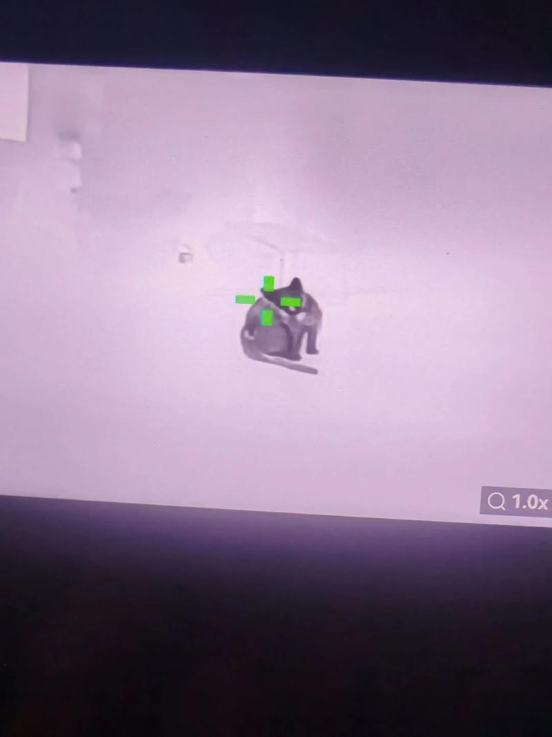 路过的蚂蚁也要称赞是什么梗